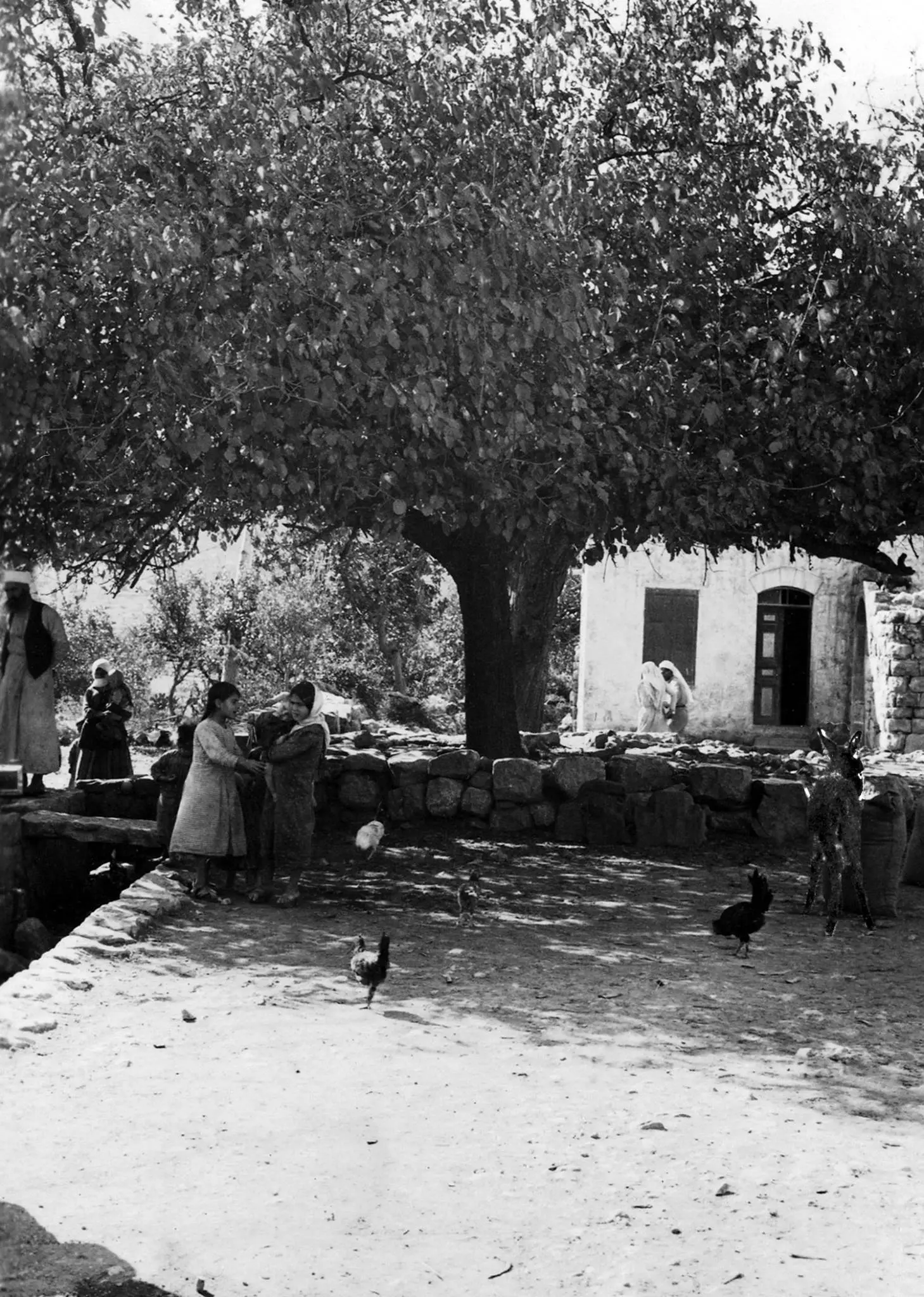 Children playing in Deir Yassin village in 1930.